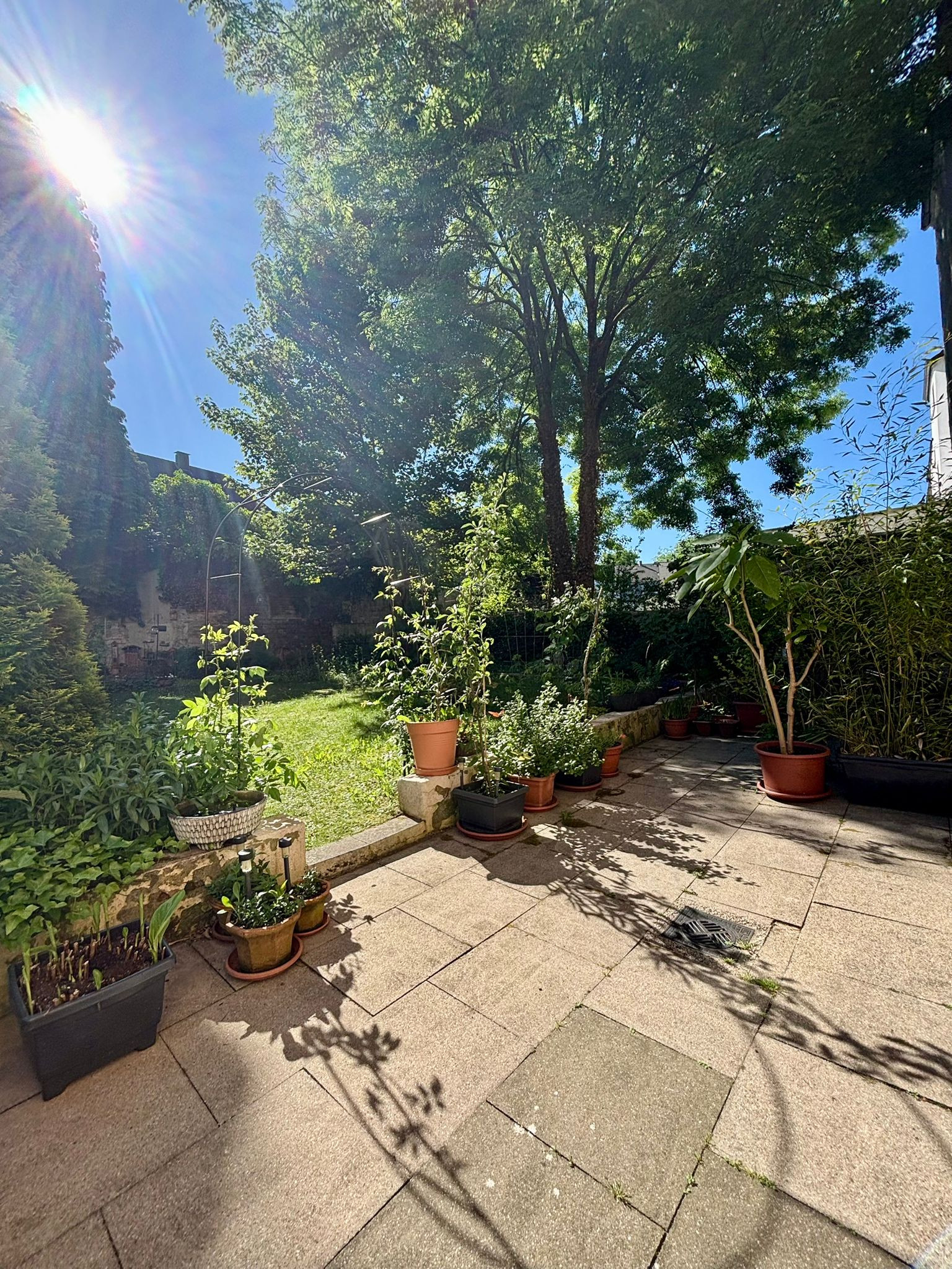 Sommeroase