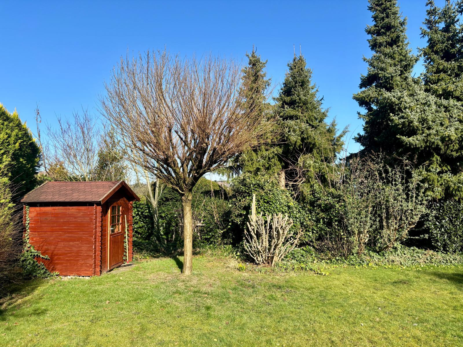 Gepflegte Rasenfläche