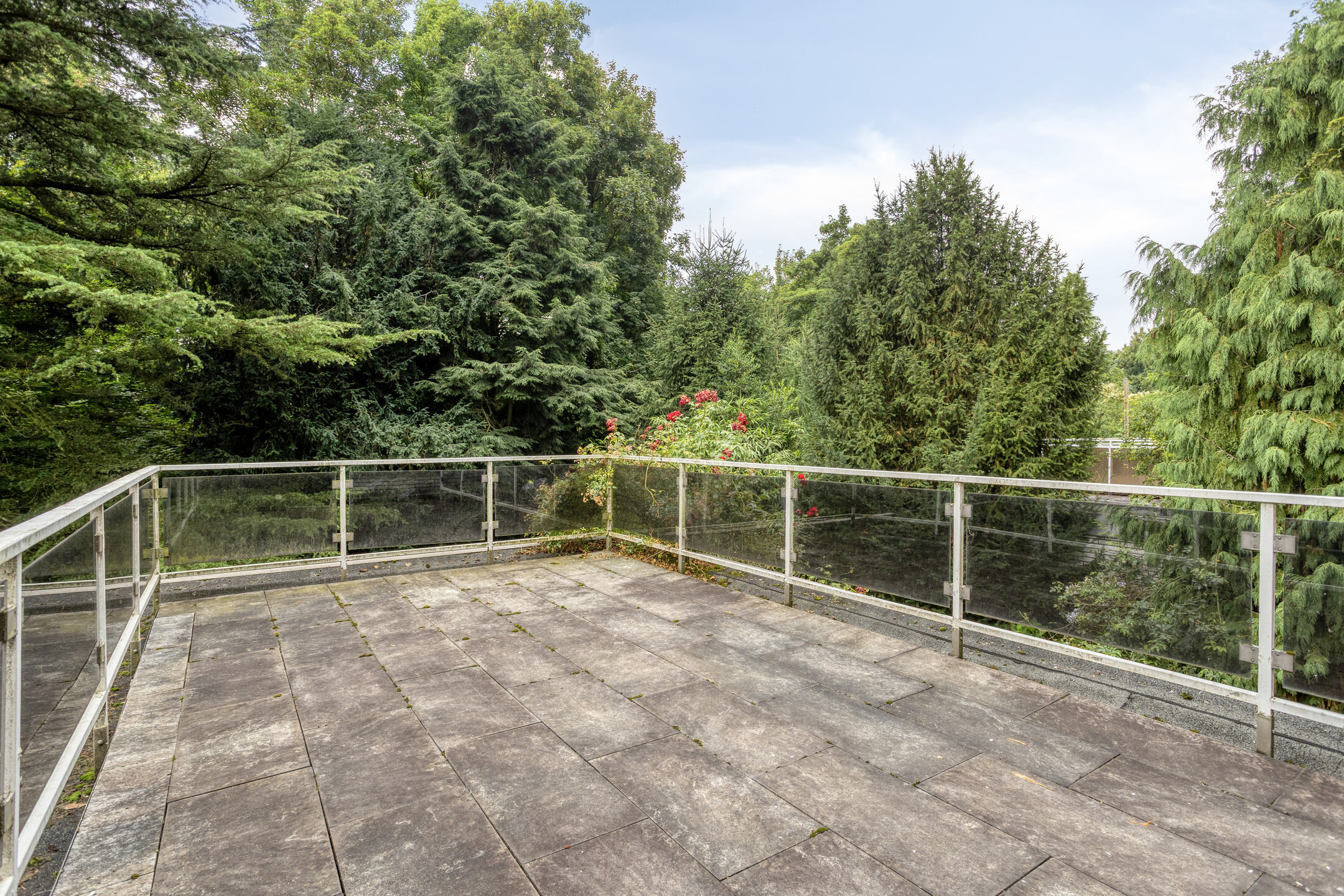 Dachterrasse Blick in den Wald