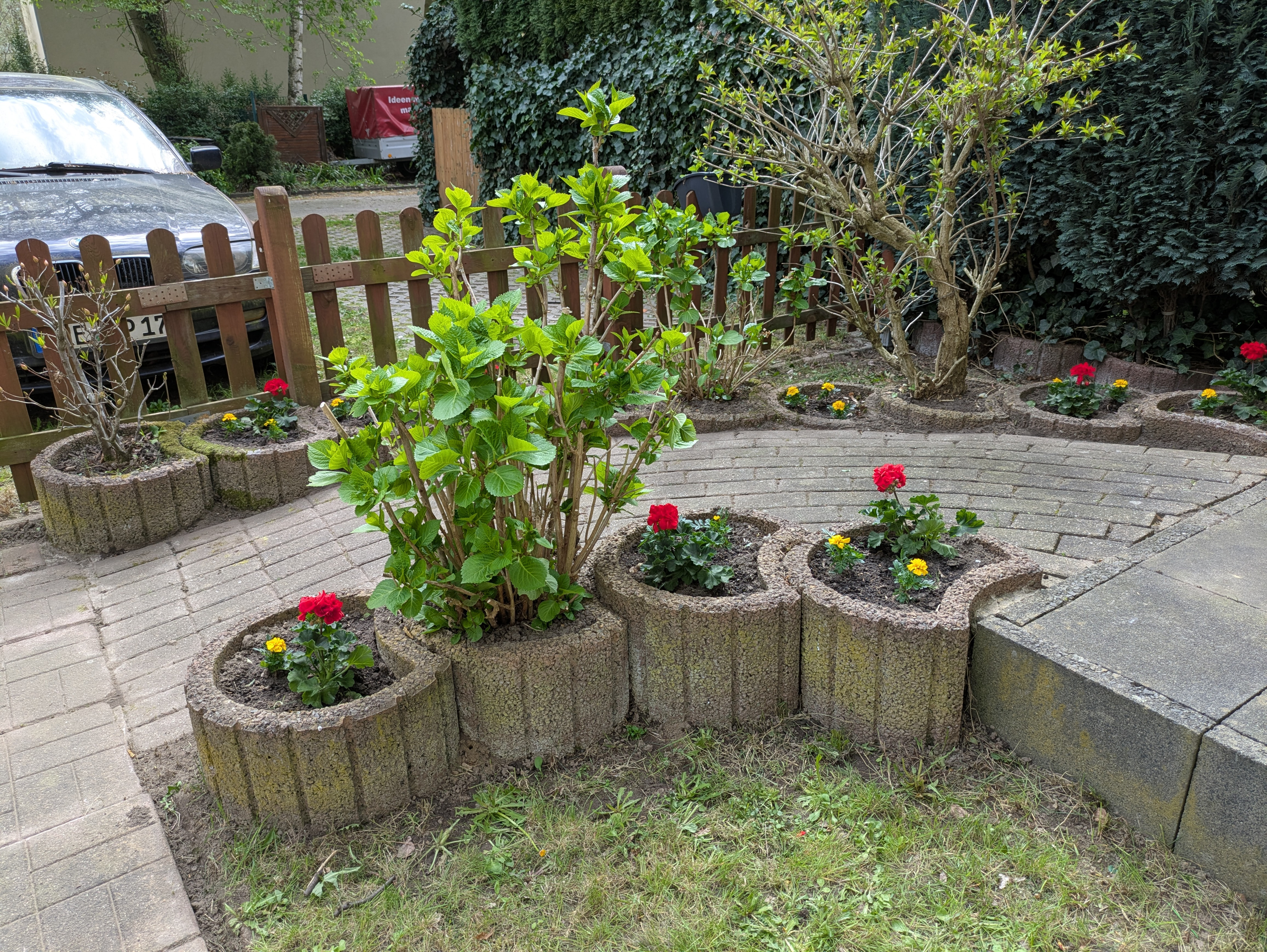 Blumen Garten