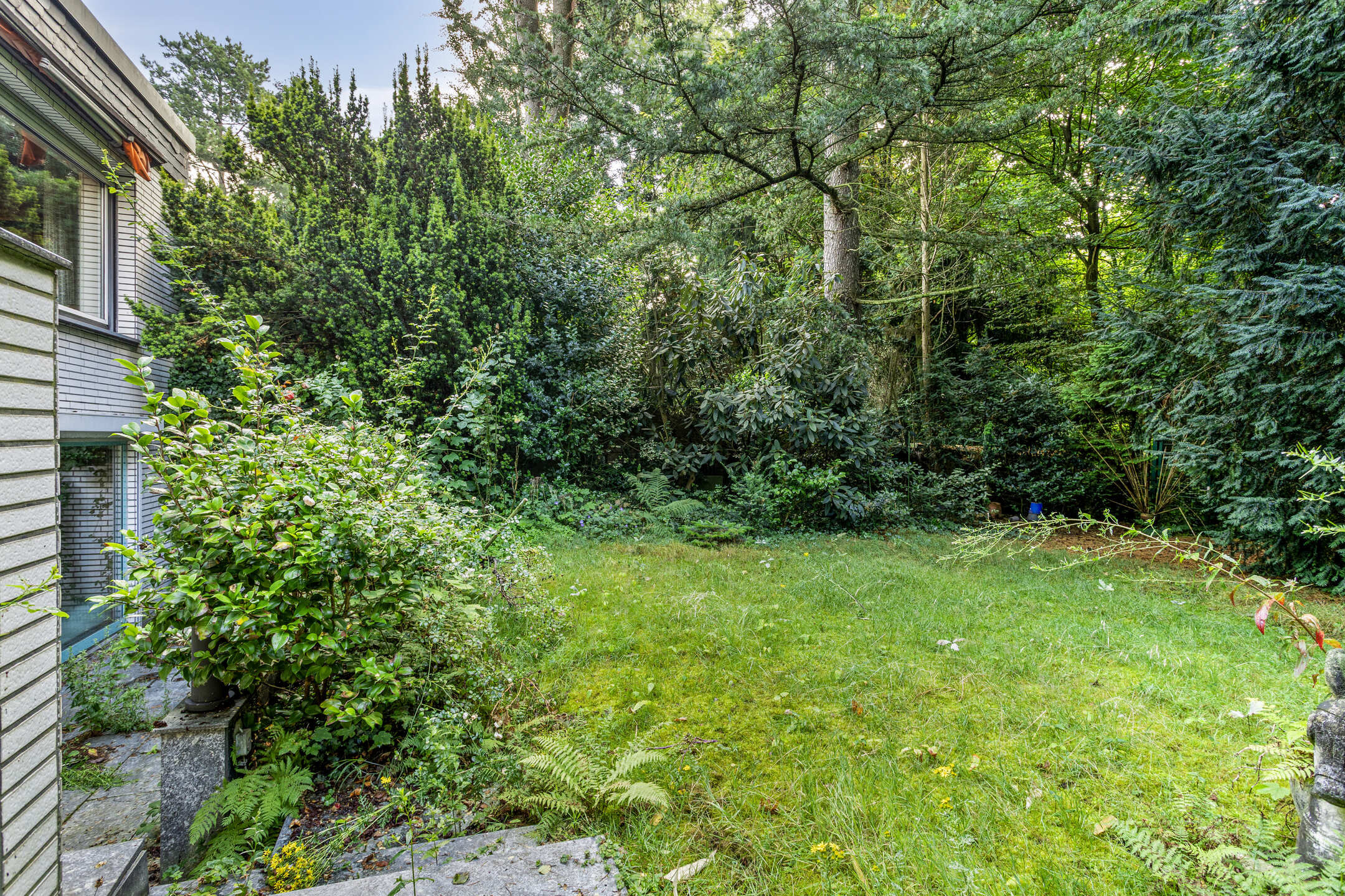 Garten 1