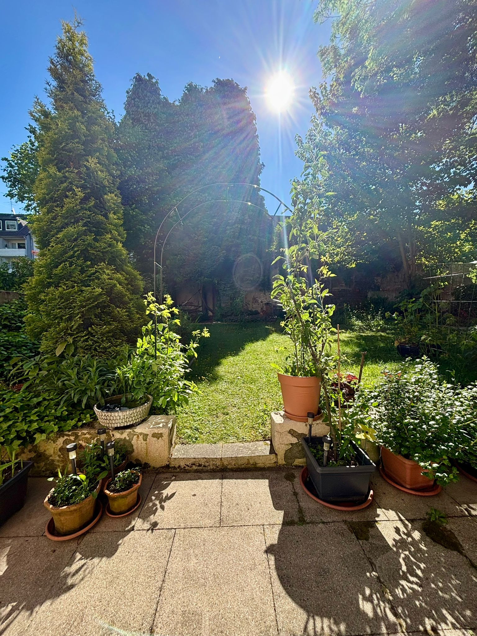 Liebevoll gestalteter Garten