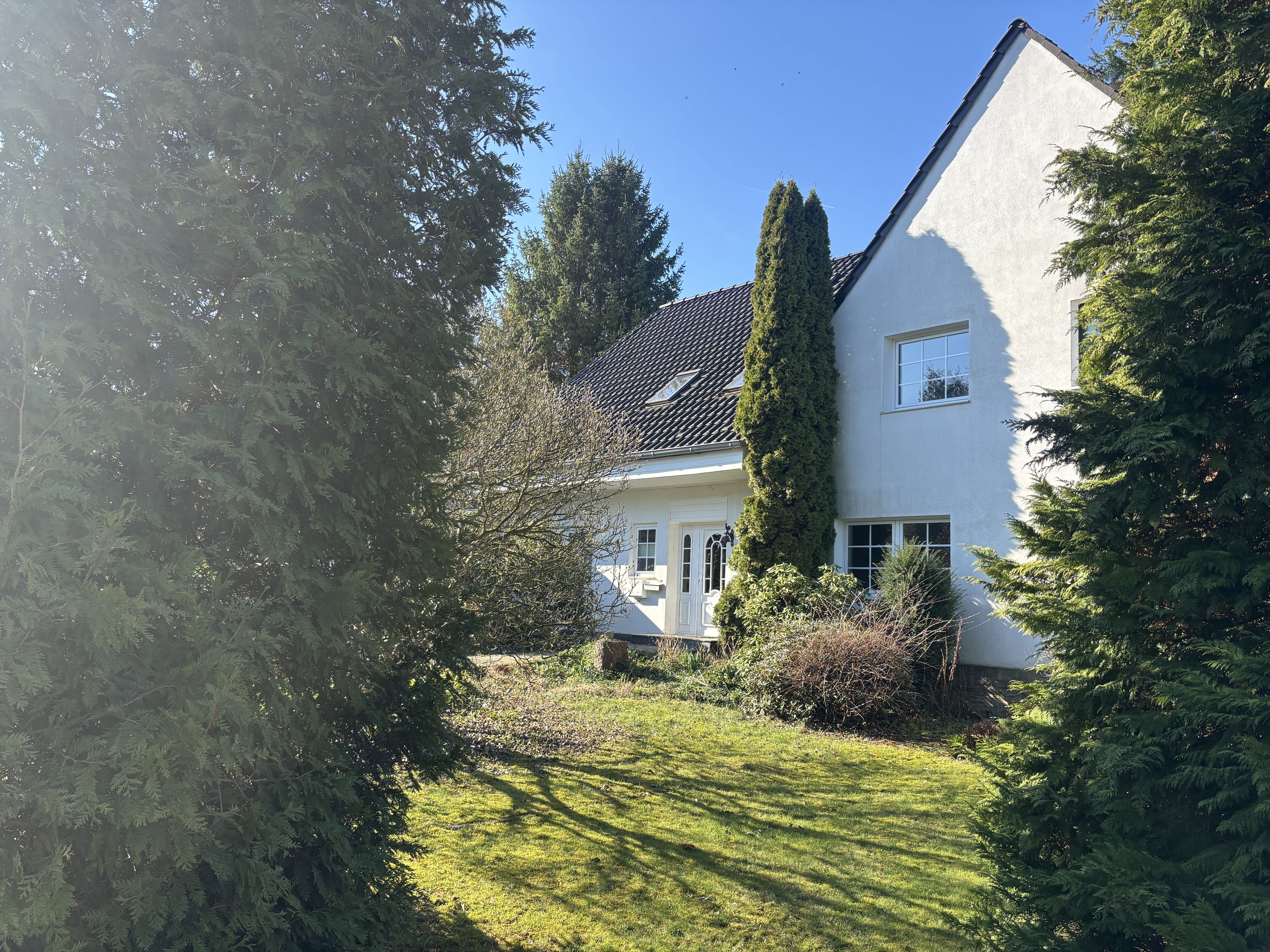 Baumbestand im Vorgarten